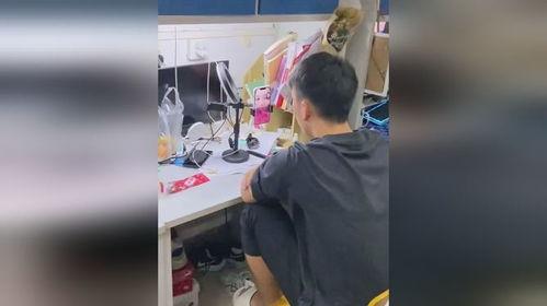 河南男寝室吃瓜视频,揭秘校园生活趣事