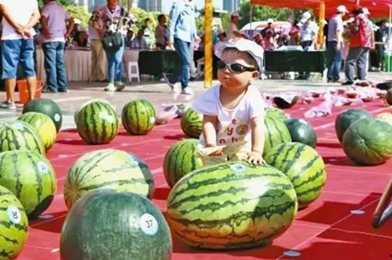 浙江龙泉吃瓜事件视频最新,一场网络热议背后的真相揭秘