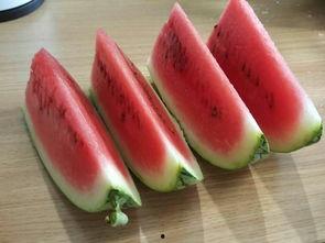 一丝清凉吃瓜视频下载观看