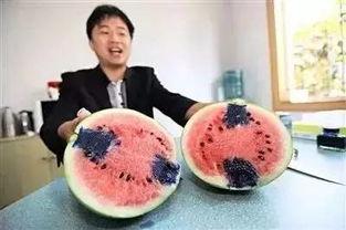 吃瓜打针的视频大全,趣味医疗瞬间大盘点