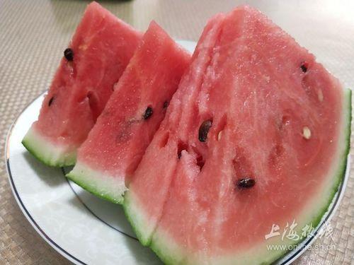 全国最新吃瓜视频,最新吃瓜视频盘点，笑料百出，揭秘娱乐圈幕后故事