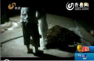 莱芜牛泉吃瓜事件视频播放,一场引发热议的网络视频风波