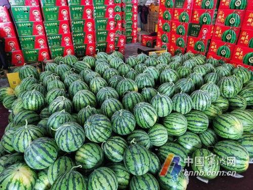 宁波吃瓜事件视频最新进展,真相大白，疑云散去