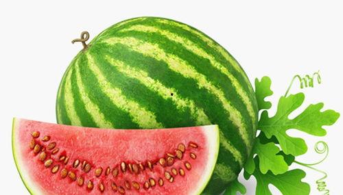 吃生日瓜好吗有营养吗视频