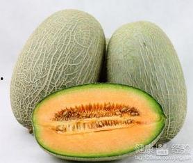 婴儿不宜吃哈密瓜吗视频