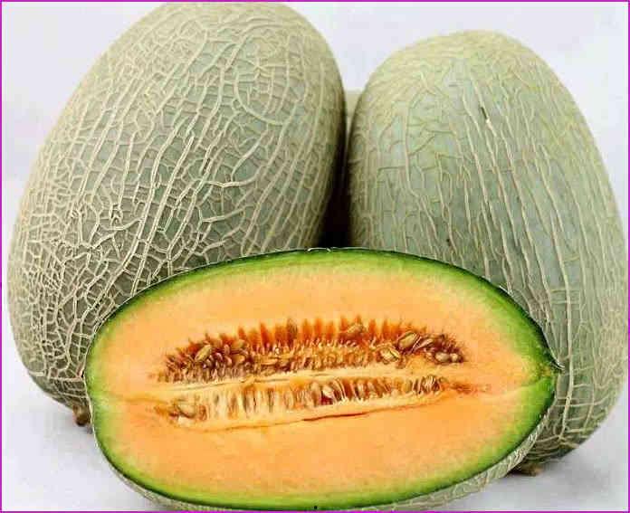 喂小猪吃哈密瓜好吗视频,营养与乐趣并存的新尝试