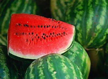 怀孕吃瓜篓子好吗视频,安全与营养的双重考量