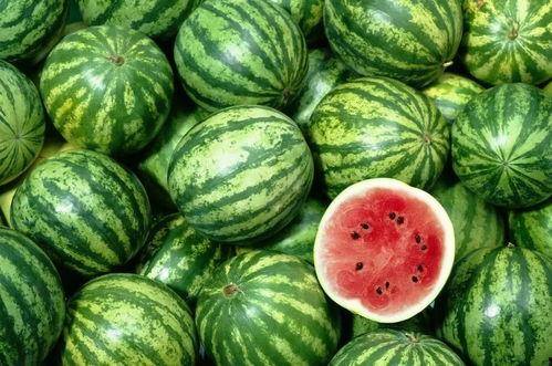 卖西瓜吃瓜视频大全,跟随视频大全，一起品味夏日清凉