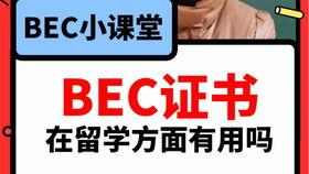 吃瓜骂人语音播放视频在线观看,网络热门视频背后的热议与反思