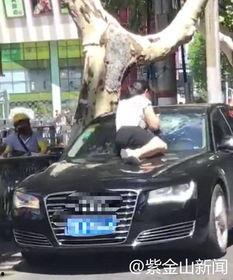 吃瓜群众围观视频完整版,一场全民参与的视觉盛宴