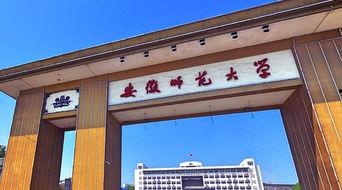 安徽师范大学吃瓜视频