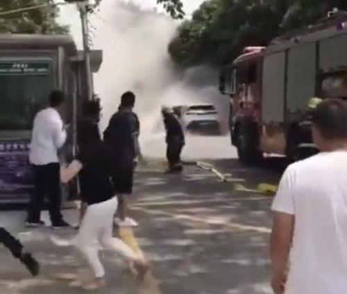 湖州小鹏吃瓜事件视频,一场网络热议的真相揭秘